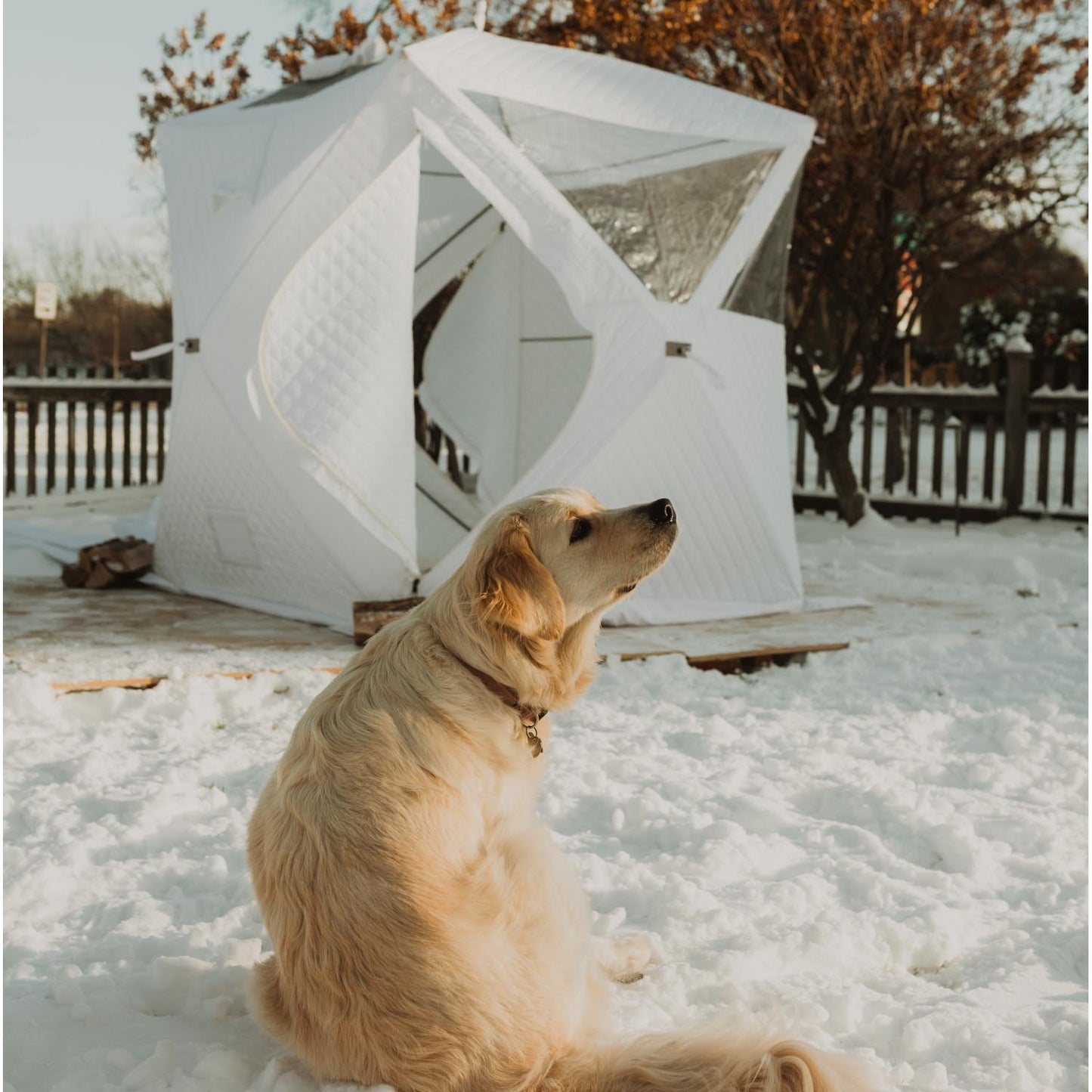 Halo Sauna Tent + Stove